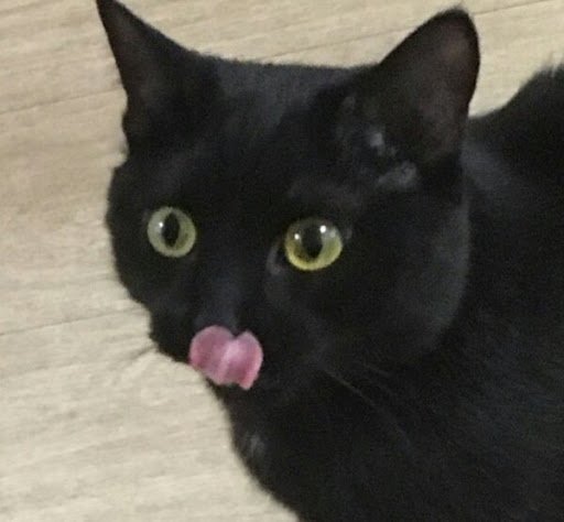 BMW E36 con BMW Styling 265 con BMW Styling 265