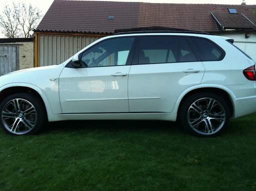 BMW E53 con BMW Styling 310 con BMW Styling 310